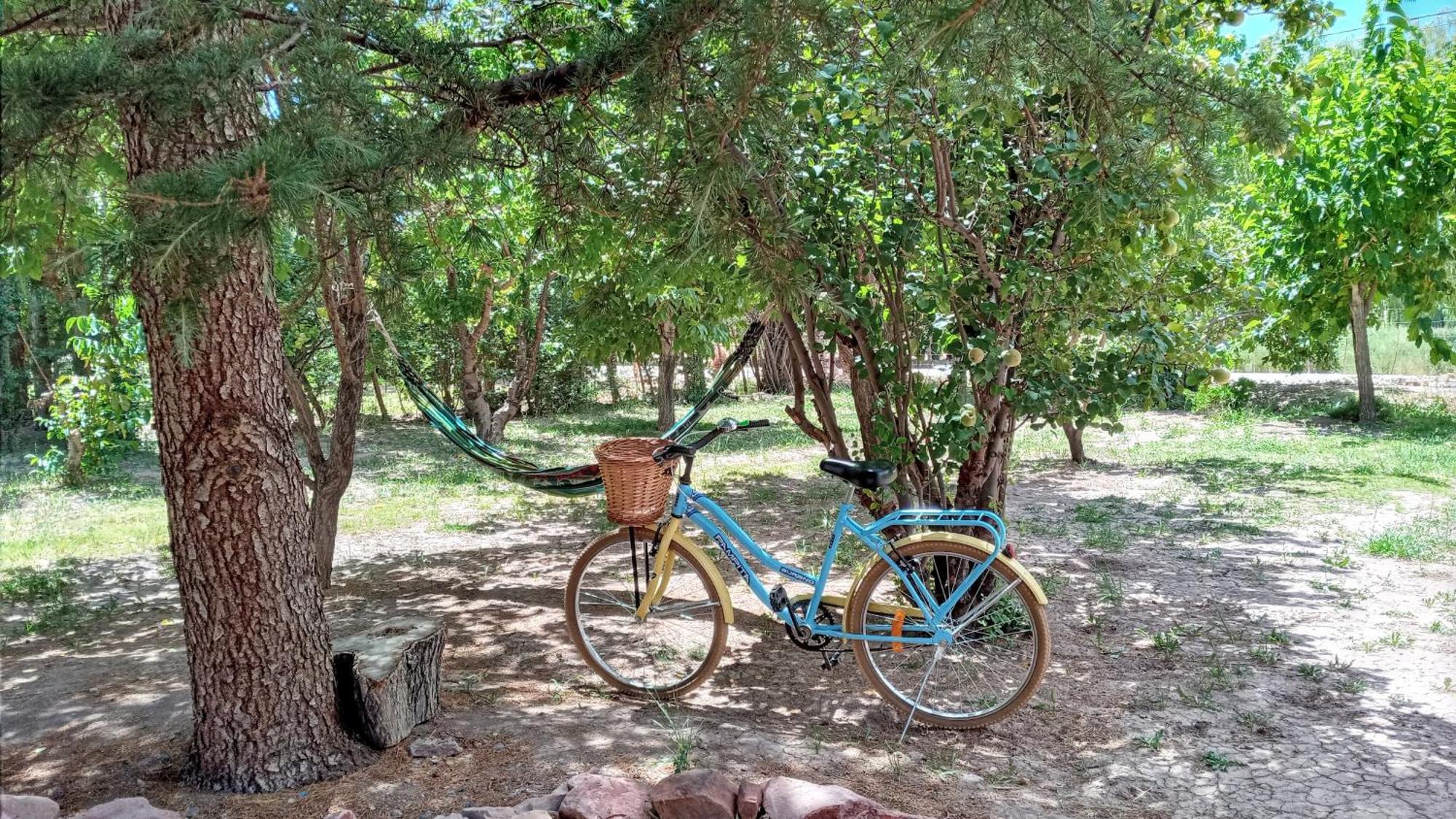 Aire De Barreal Hostel Andino Ngoại thất bức ảnh