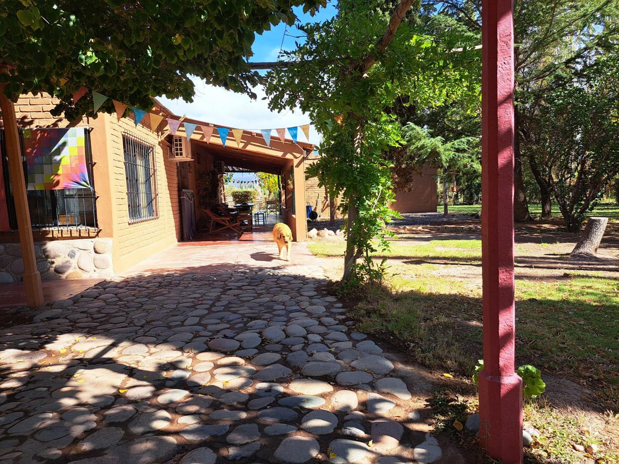 Aire De Barreal Hostel Andino Ngoại thất bức ảnh